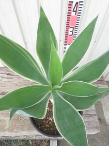 yizAKx@Aei[^@CIuCg@6ZA[gA@c؁yFAz105