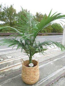 XV@10TCY@c؁yAK187.188z