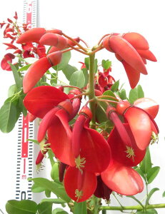 yiN532zAJfCS(JCREY)@c؁@9A