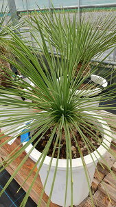 yizbJ@lAX@10A@H40cmyYz