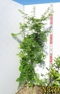 yizV_~W(}gt)@(EZ)@1.4m`@V{c[ɍœKȕc؁@