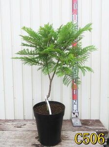 yIׂ錻izWJ_@u[ij`iu[jc؁@8A