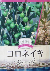 yIׂiz@I[u̖ c؁@4@H^CvybJAAxLiA~bVARlCLAb`[mz