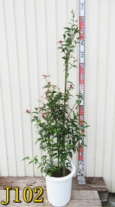 yIׂ錻iz΃~W@fBK[_@c؁@9A