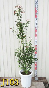 yIׂ錻iz΃~W@fBK[_@c؁@9A