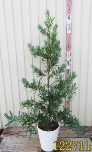 yIׂ錻iz|hJvX ACV[u[@c؁@8ZA[gA