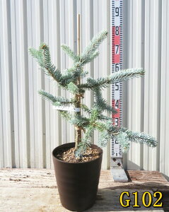 yIׂ錻izsZAEvQXg[q@zvV[@7tO[A(_[NuE)