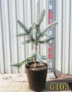 yIׂ錻izsZAEvQXg[q@zvV[@7tO[A(_[NuE)