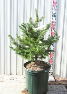 yizsZAEvQXgEq@X[p[u[@c؁@10@G109