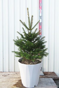 yizhCcgEqig[q) @sX|bg30^A@c؁@G105