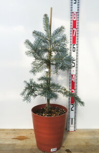 yi/G110z@AvX~@A]jJ@OEJ@c؁@7tO[A