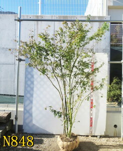 yIׂ錻izCn~W@@@c؁@2m