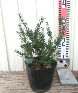 ^X}jA}L@u[WF@c؁@4.5