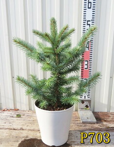 yIׂ錻izsZAEvQXgEquRhg[qv@5A