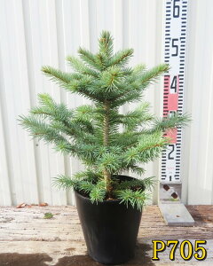 yIׂ錻izsZAEvQXgEquRhg[qv@5A