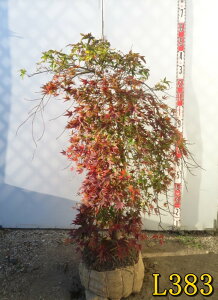 yIׂ錻izV_~W(}gt)@(EZ)@c؁@r