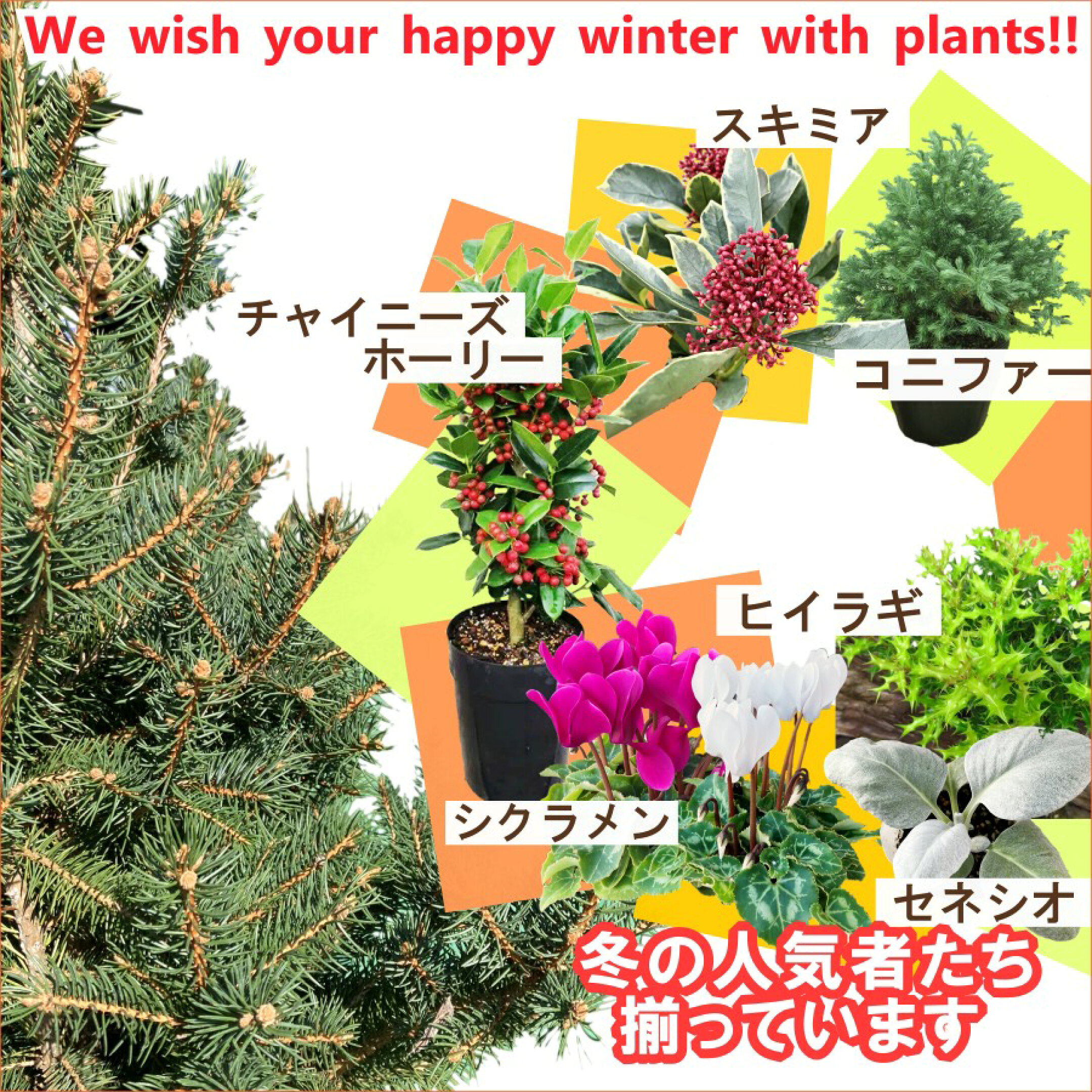 クリスマス・お正月商品特集