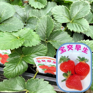 y2Zbgzc@𑁐iق킹j3|bgc