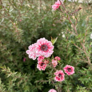 ~ MEoC@d炫/ sNnZW3F@3.5c