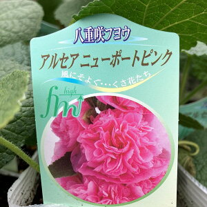 y5FIׂz^`AIC d炫iAZA[A) @3.5c(c01)