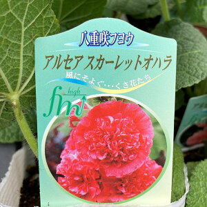 y5FIׂz^`AIC d炫iAZA[A) @3.5c(c01)