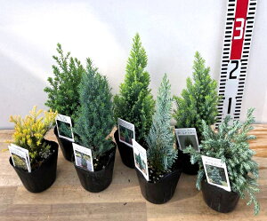 Rjt@[@7i@7Zbg@3c(e05)