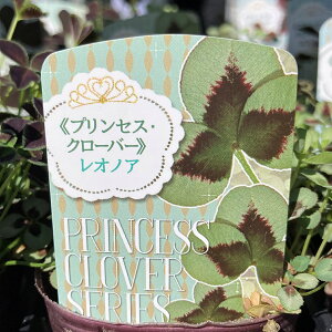 yiIԁzvZXN[o[@CbNV[Y@2.5c(c06)