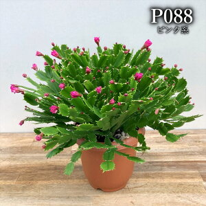 y6FIԁzVRoT{e@RyCgEV[Y@6A