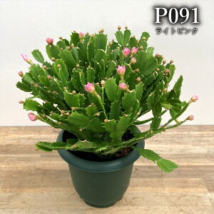 y6FIԁzVRoT{e@RyCgEV[Y@6A