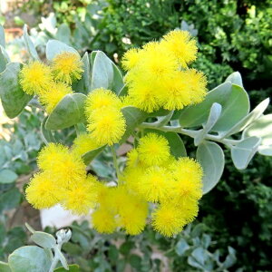 p[AJVA@u|_tH[Av@5.5Ac(d02)