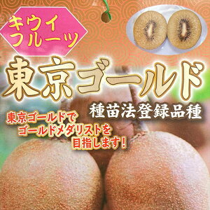 LECt[cc@uS[hv(X)@5|bg@ڂؕc