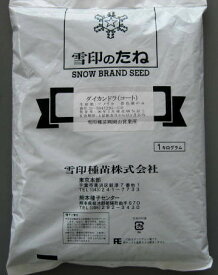 ダイカンドラ種 1kg【グランドカバー】(直送)（雪印）