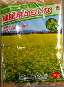 炵Ȃ̎(JVi) uԂ̂v 1kg