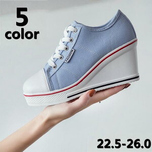 fB[X Xj[J[ Xj[J[ nCq[ EFbW\[ JWAV[Y  [Jbg Cq[8cm  [XAbv ҂ݏグ