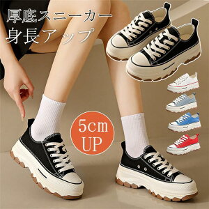 Xj[J[ fB[X  5cm [JbgXj[J[ ʋ ʊw Cq[ fB[XV[Y r r   wZp w