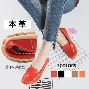 [t@[V[Y fB[X hCrOV[Y Xb| JV tbgV[Y C {v ʋΗp Ōt t H ɂ