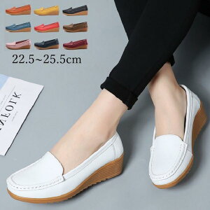 [t@[ fB[X Xb| [q[ _炩\[ ɂȂ ₷ r ~ JV 풅p ʋ