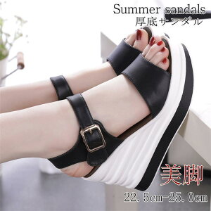 ĐV T_ fB[X V[Y  EFbW\[  nCq[  NbV 9cm q[ T}[u[c Ȃ 