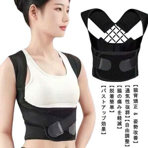 w؋xg xg fB[X pT|[^[ Lw q pxg  Lwxg xg j   Ci[ Y Lw