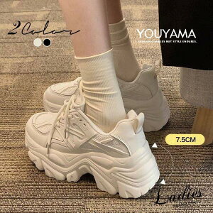 Xj[J[ fB[X V[Y jO X|[c WMO  ɂ N g JWA ɂȂ V h