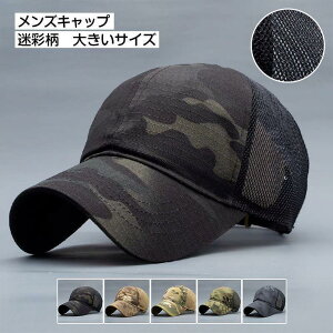 YLbv Xq ʕ Jt bV  ėp  傫TCY X|[c Β St nbg  AEghA ꂢ 