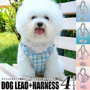  L n[lX [ht Jt `FbN EFAn[lX ybg   Lbg hbO