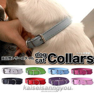  L  U[  ybg  Lbg hbO ybgObY ^ ^