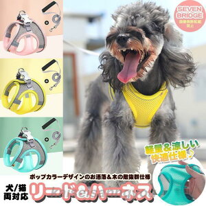  L n[lX [ht y  K ⊴ bV EFAn[lX  ybg   Lbg hbO