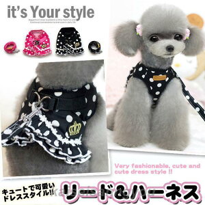  n[lX [h t hX  EFAn[lX ybg  s[X  Lbg hbO