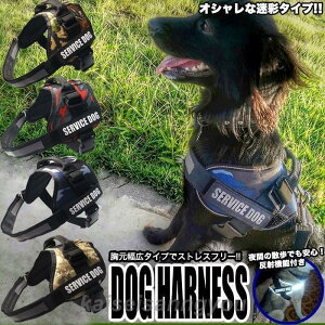  n[lX xXg ybg  tJtJNbV   Lbg hbO bV hbOEFA ^ ^ ^