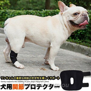  ֐߃T|[^[ ֐߃veN^[ V[gT|[^[ G T|[^[ ֐ߕی p  ybgpi ybg