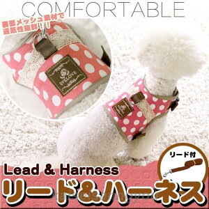  L n[lX [h ybg  hbg [X fUC  EFAn[lX  Lbg hbO