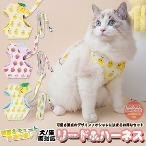 L  n[lX [h ybg  t[c EFAn[lX  Lbg hbO bV