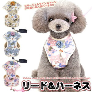  n[lX [ht ybg  t[ RT[W EFAn[lX  Lbg hbO bV { CXg[